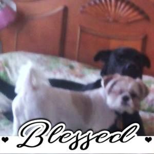 Meet your Posher, Toni